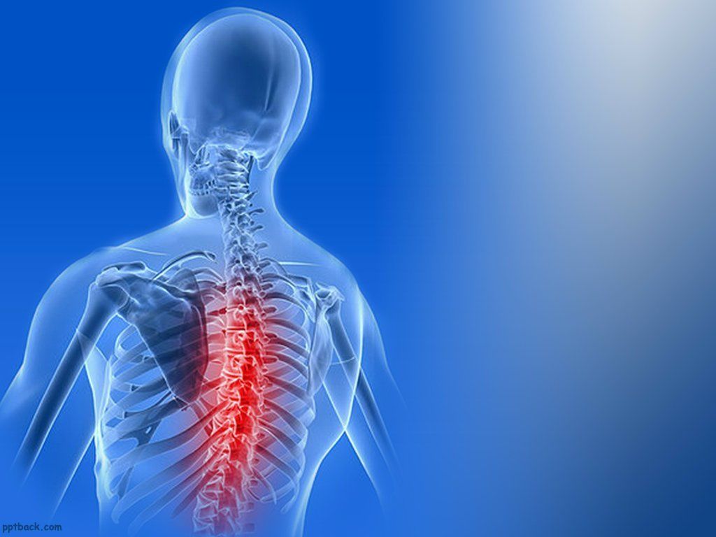 Butterfly Life Franchise, Linda Evans Fitness Gyms, Concerts And Events: The 24 Hour Fitness Story 5